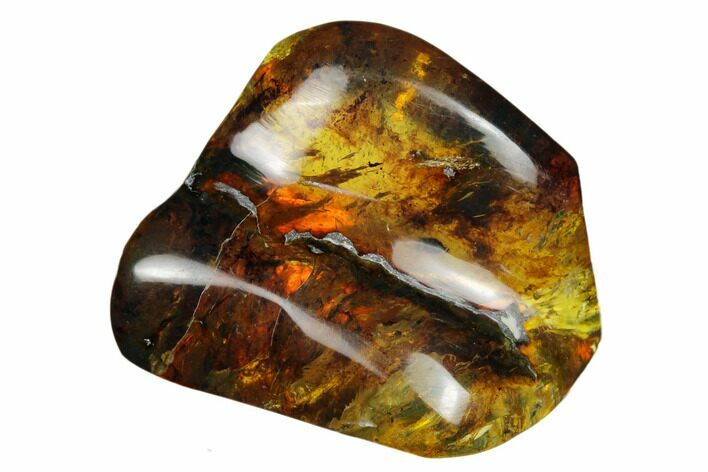 Polished Chiapas Amber ( g) - Mexico #180437